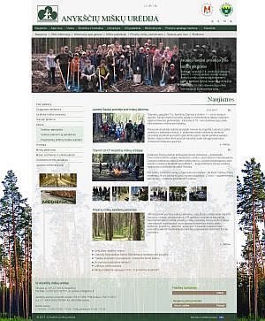 Interneto svetainių kūrimas Anykščiai